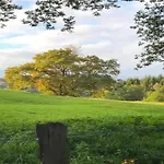 度假居 Charming Cottage, Thirimont *