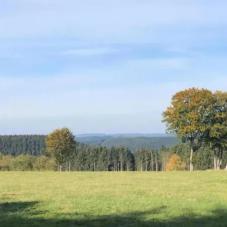 Spacious In Thirimont Near Forest