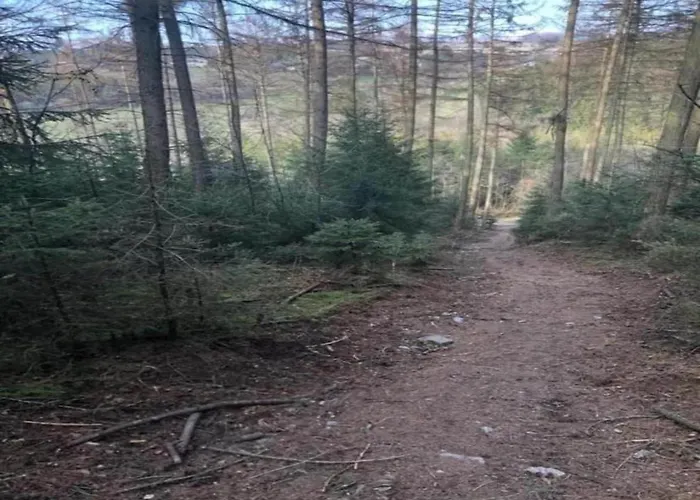 Charming Cottage, Thirimont