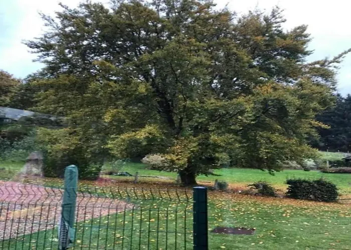 Charming Cottage, Thirimont Hébergement de vacances *